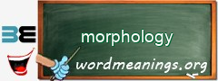 WordMeaning blackboard for morphology